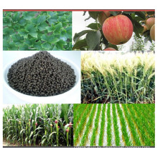 Varios tipos Compuesto Fertilizante de fosfato de diamonio 18-46-0 DAP Fertilizante